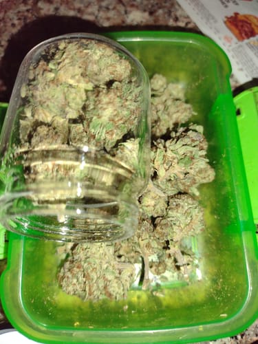 Customer photo review of Gold Spectrum THCA Flower (Top) - Blueberry Caviar