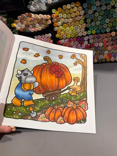 Customer photo review of Ohuhu Honolulu 320 Colors Dual Tips Alcohol Art Markers (New Version)