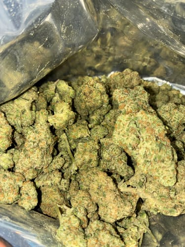 Customer photo review of NYC Diesel THCA Flower