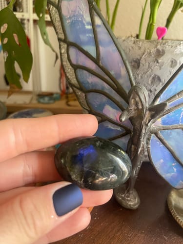 Customer holding a polished, dark meditation crystal with blue coloration near a decorative butterfly wing.