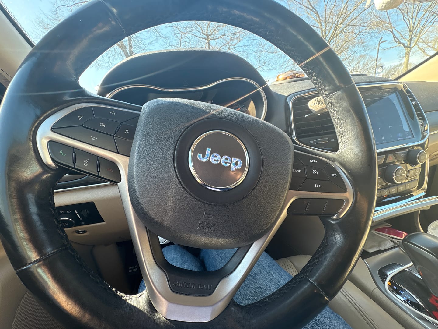 Customer photo review of JEEP Steering Wheel Emblem Overlay Decal — 30+ Colors & Designs (Flag, Topo, Animal, Solid)