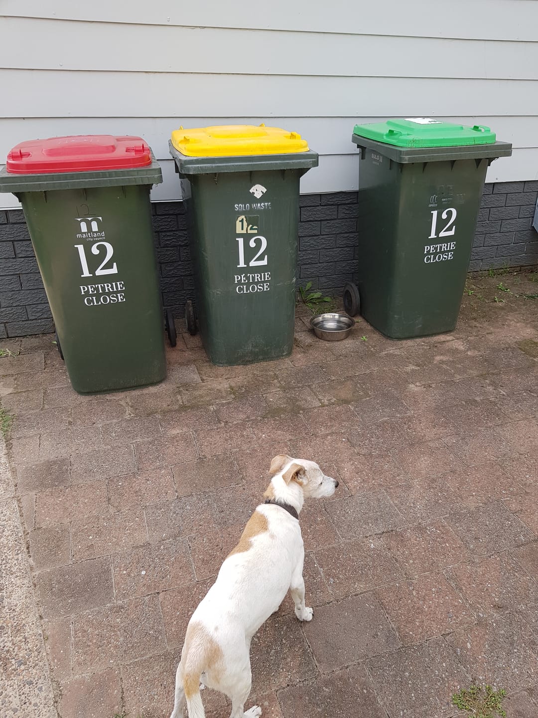 Customer photo review of Wheelie Bin Street Name & Number Sticker