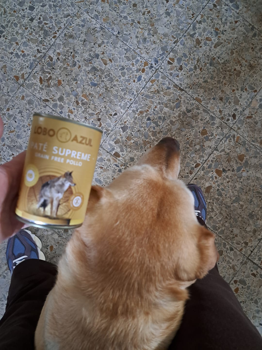 Customer photo review of Paté Supreme Free Pollo