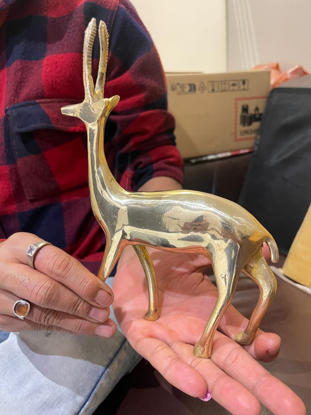 Customer photo review of Handcrafted Brass Deer Idol Vastu Remedy for Stability, Stamina and Energy Balance for WNW Zone, Home and Office Placement | 12 x 22 cm | 820 gm