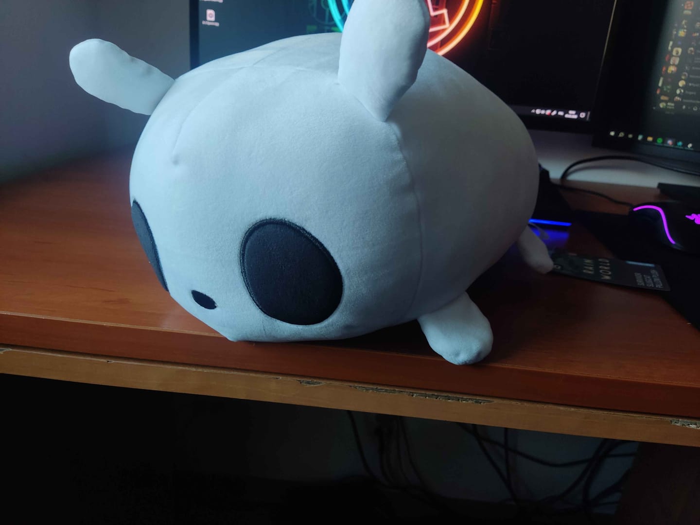 Customer photo review of Rain World - Survivor Slugcat Pillow Plush