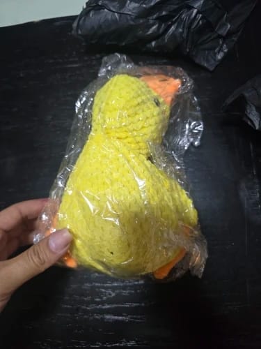 Customer photo review of Plush Blue Goose Dog Chew Toy