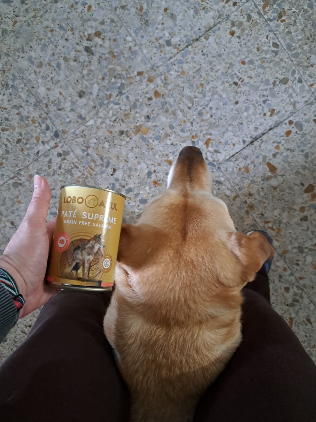 Customer photo review of Paté Supreme Free Salmón