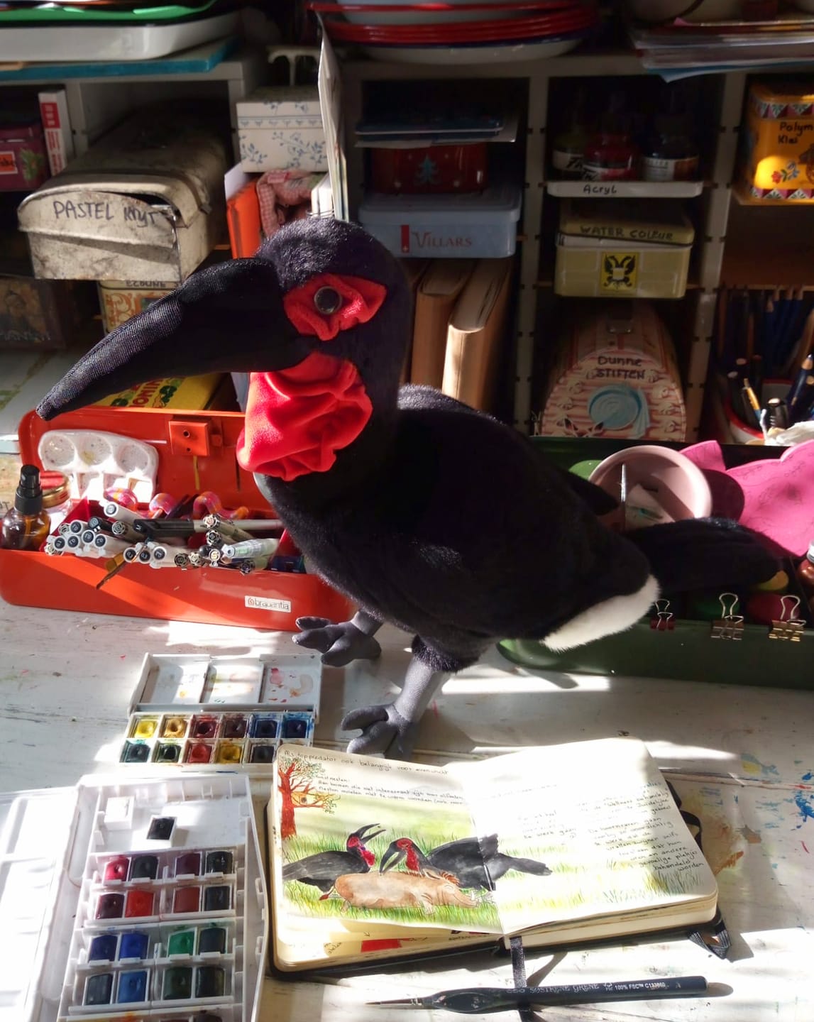 Customer photo review of Southern Ground Hornbill Bird Stuffed Plush Toy