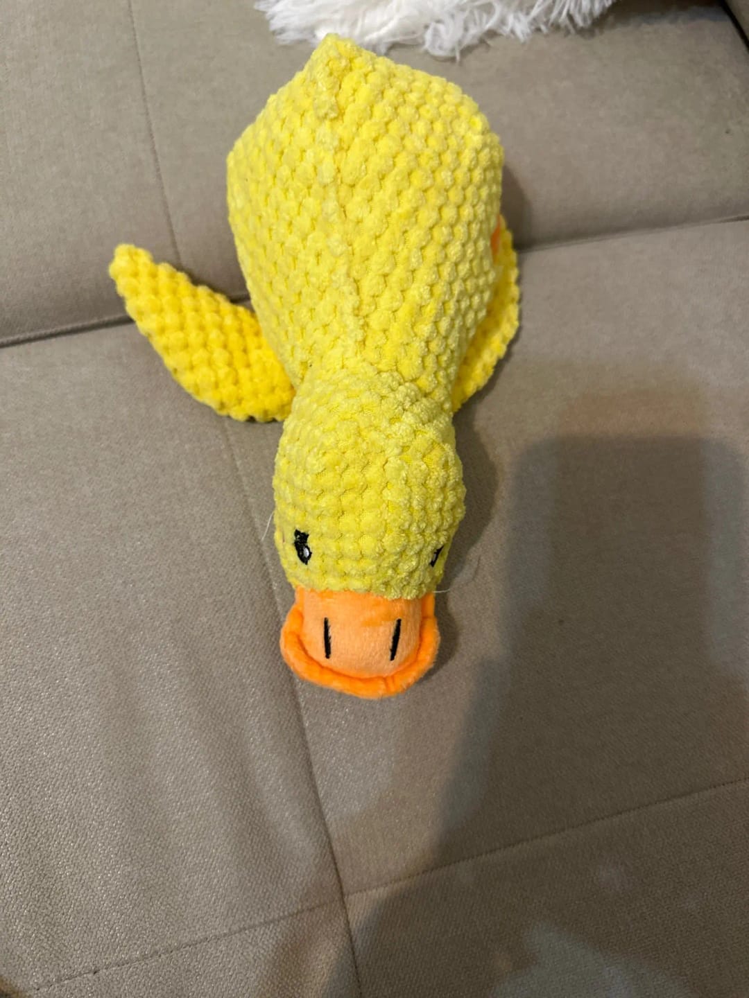 Customer photo review of Plush Blue Goose Dog Chew Toy