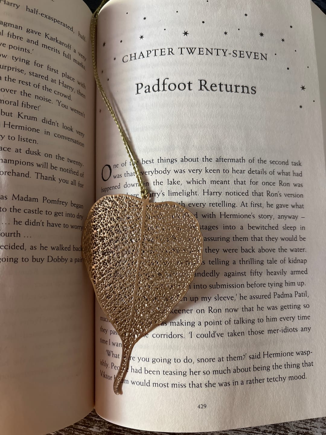 Customer photo review of Bookmark Pipal Leaf