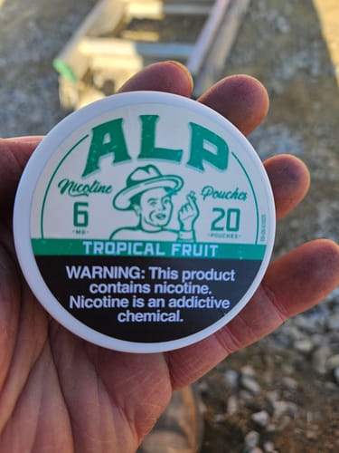 Reviewer holding a white can of ALP Tropical Fruit Nicotine Pouches in their hand.