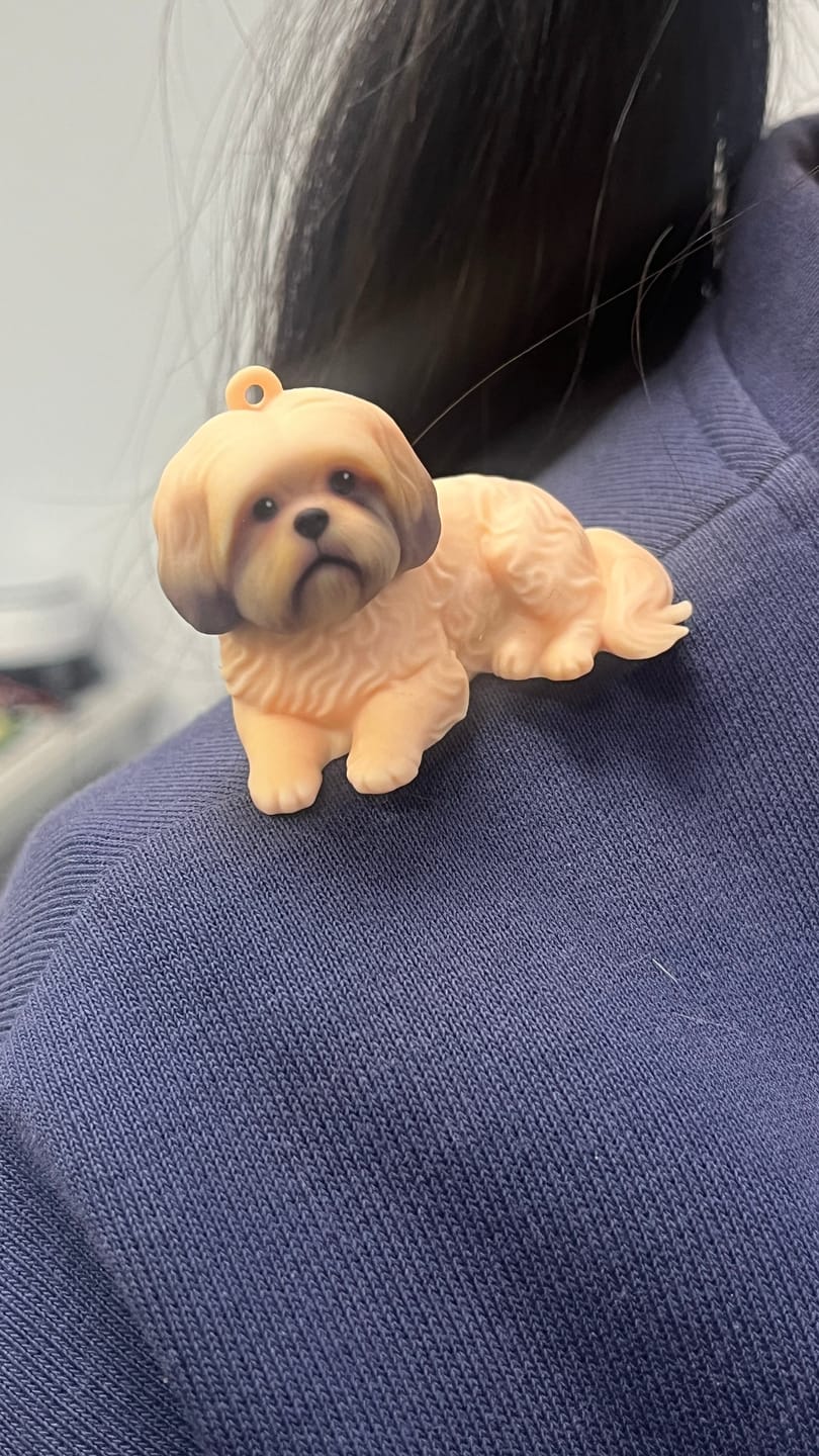 Customer photo review of Custom 3D Pet Figure Keychain & Bag Charm - Take Them Everywhere