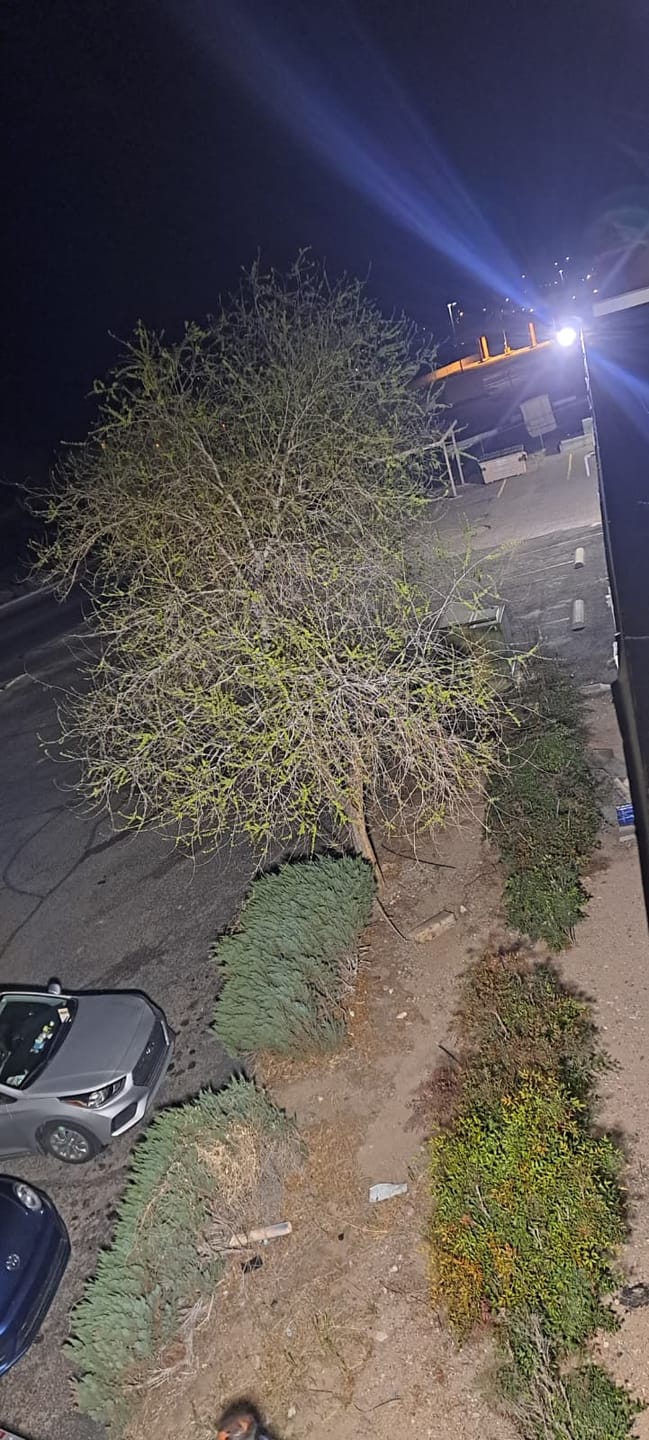 Customer photo review of LED Street Light - 150W - 22,200 Lumens - Shorting Cap - Direct Mount - AL5 Series - UL+DLC 5.1 Premium