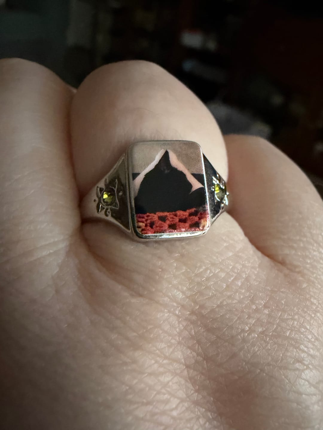Customer photo review of Personalized Photo Birthstone Custom Ring