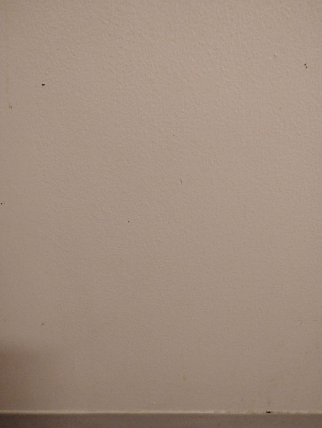 Customer photo review of Lemon Haze Indoor THCA Trim