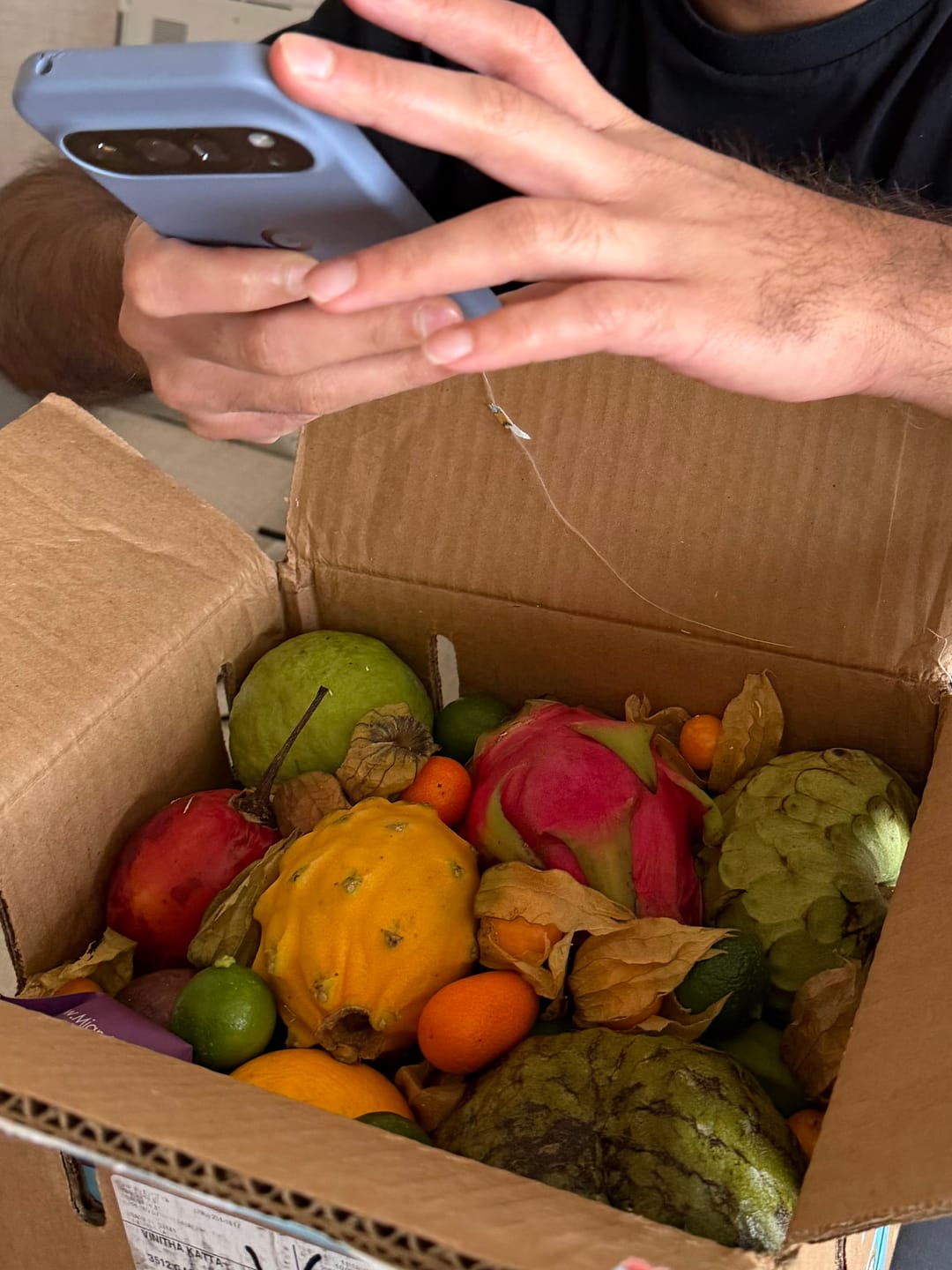 Customer photo review of Variety Box