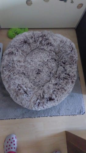 Customer photo review of Hundebett - Katzenbett rund Wuscheldonut + Gratis LED Halsband