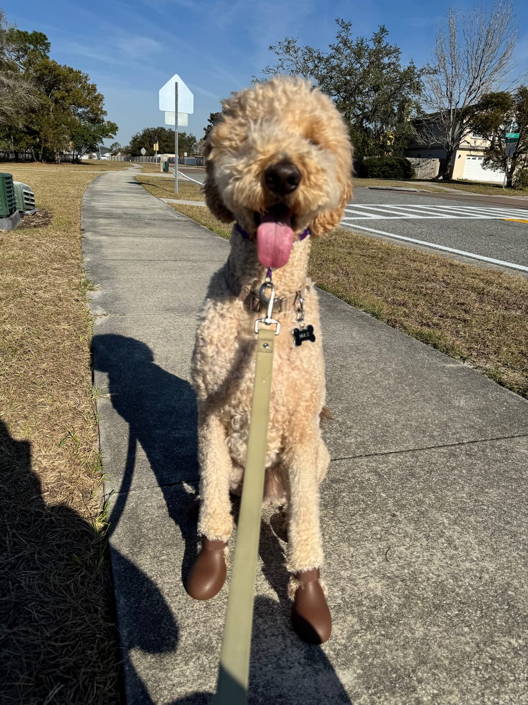 Customer photo review of WagWellies® by wagwear