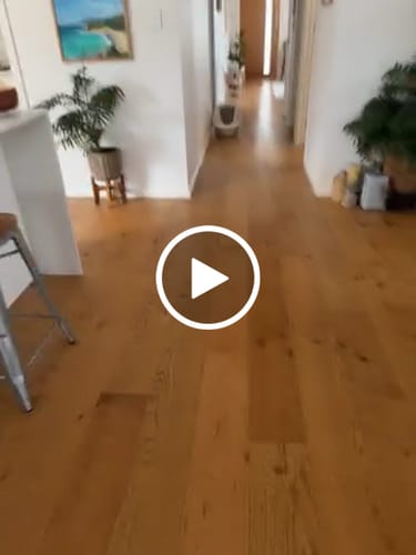 Customer video review of Fit Litter