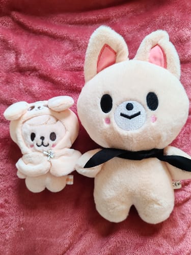 Customer photo review of Kpop Cape Mini Plush Doll