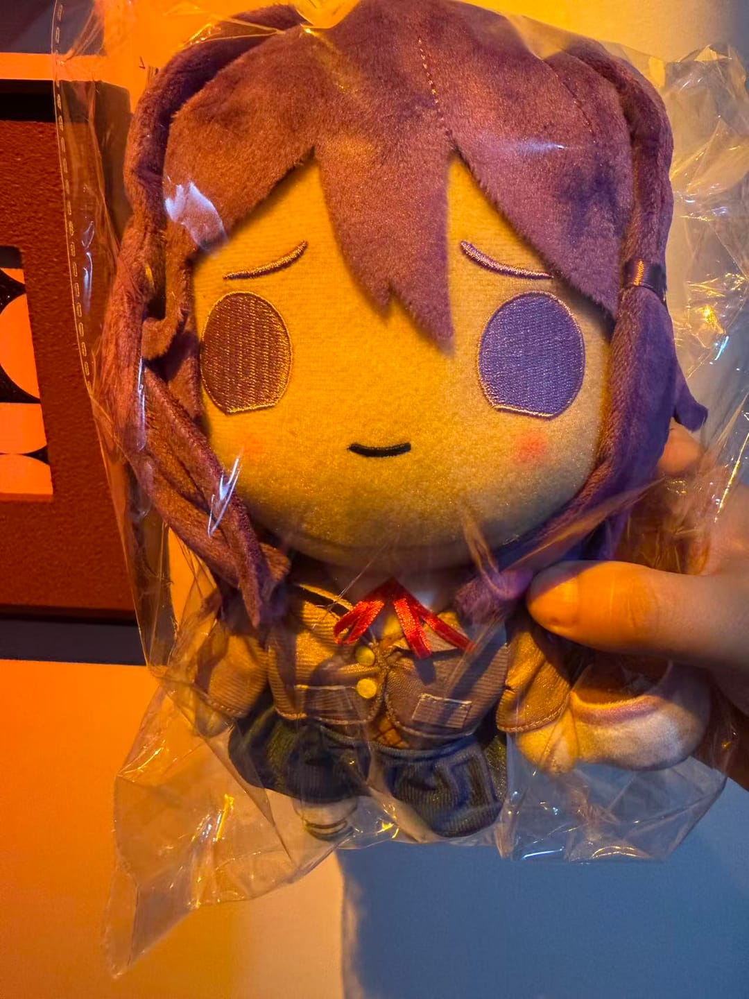 Customer photo review of Doki Doki Literature Club - Yuri Collector's Plush