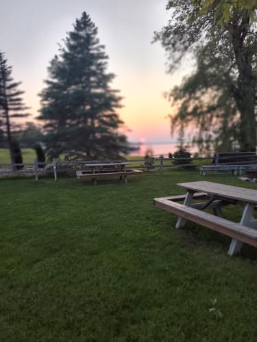 Customer photo review of Mushroom Chocolates