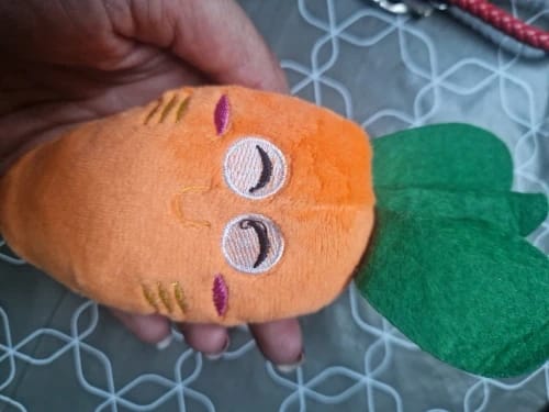 Customer photo review of Plush Blue Goose Dog Chew Toy