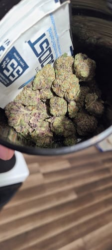 Customer photo review of Cheap Indoor THCA Flower