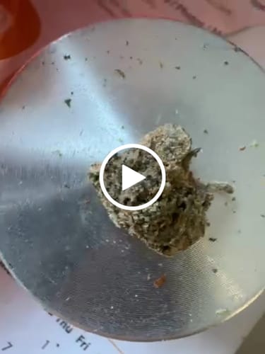 Customer video review of CALI MIX AAA+ – Premium Selection