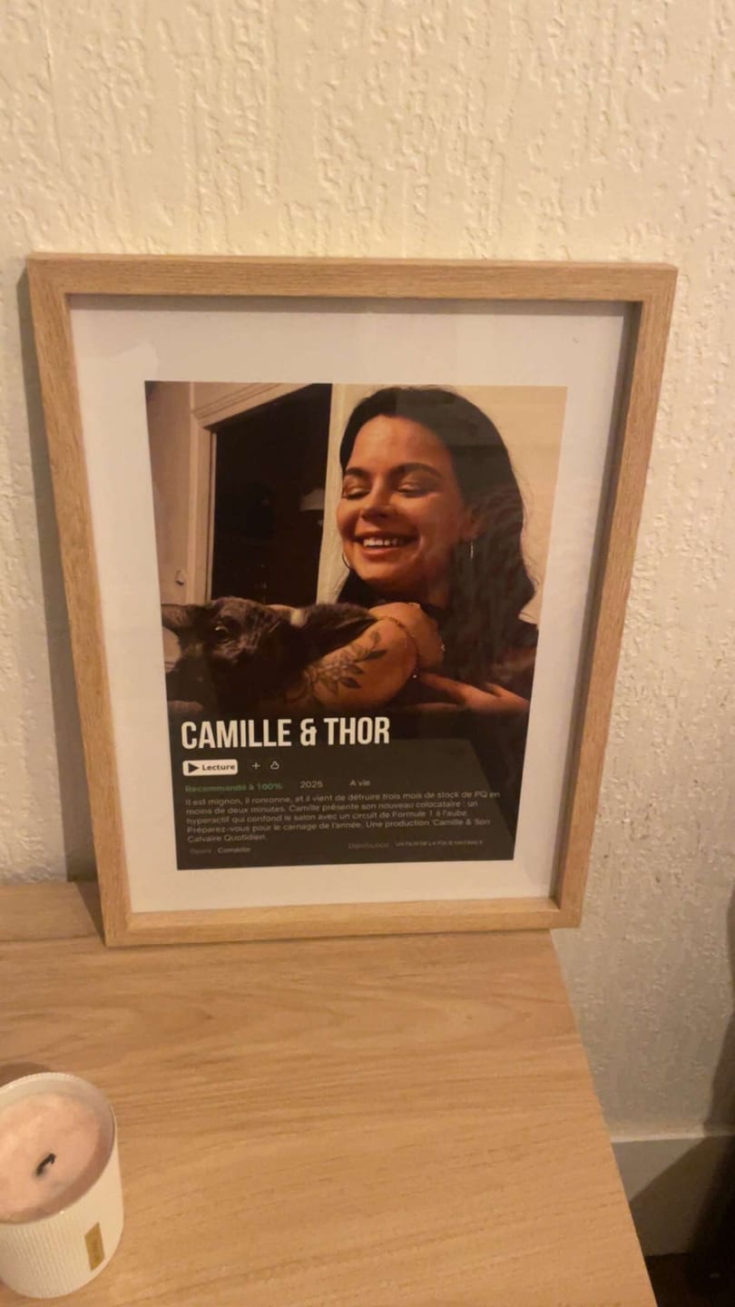 Photo de Amina R. : Mon chat