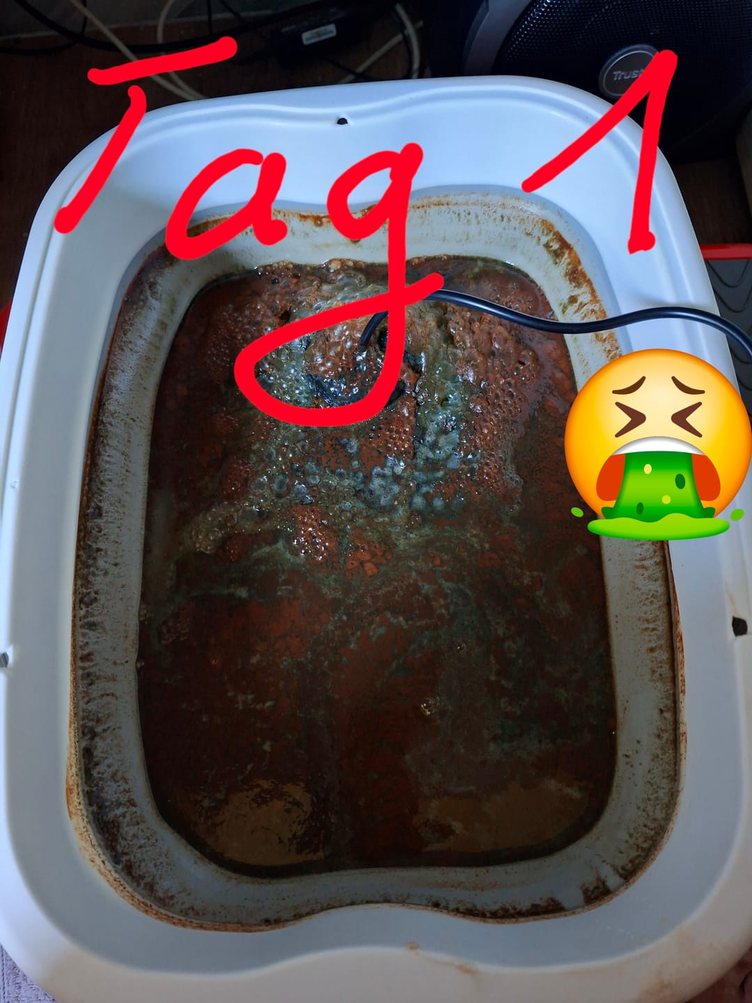 Customer photo review of Lenvia Entgiftungsbad – Der sanfte Ausgleich von innen