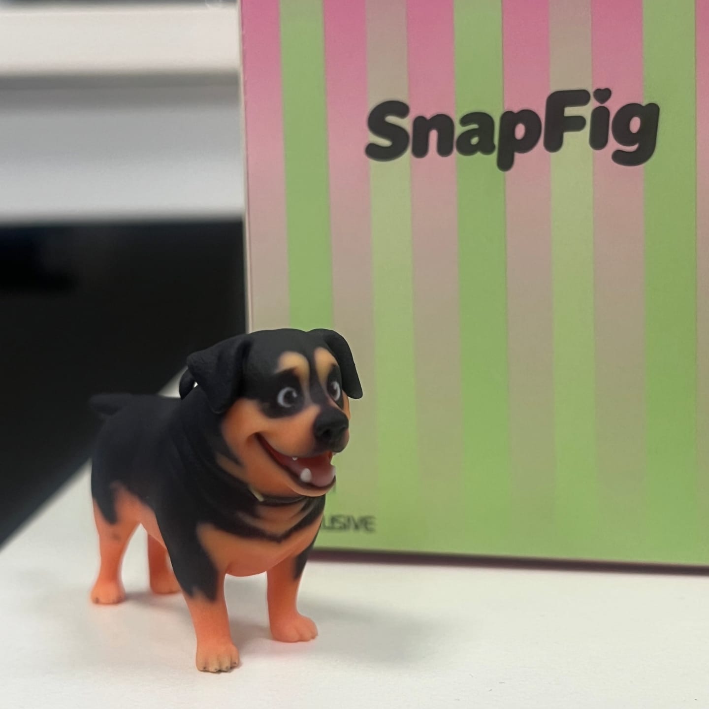 Customer photo review of Custom 3D Pet Figure Keychain & Bag Charm - Take Them Everywhere