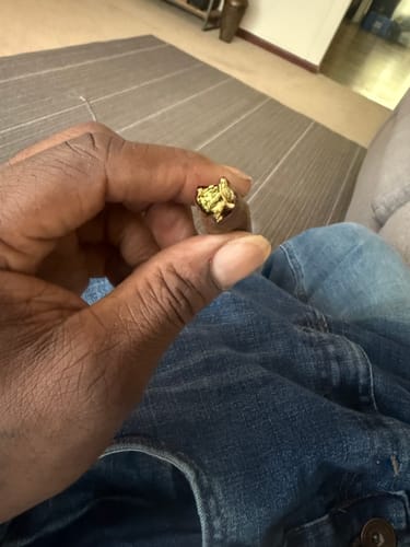 Customer photo review of Shipping Protection by Route