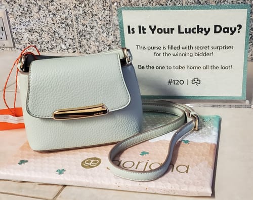 Reviewer shows a purse prize for a charity event, which included LA LA LIPS LIP BALMS.