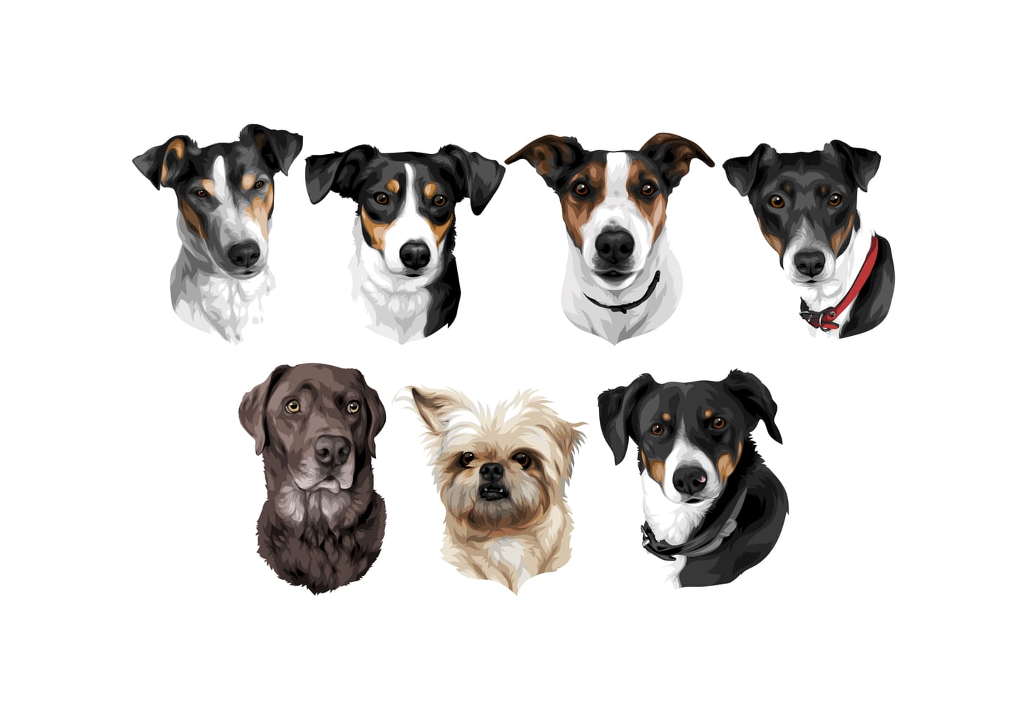 Customer photo review of Pet Portrait
