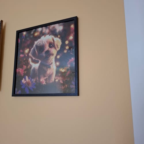 Kundenbewertung mit Foto zu Süßer Hund im Zauberwald