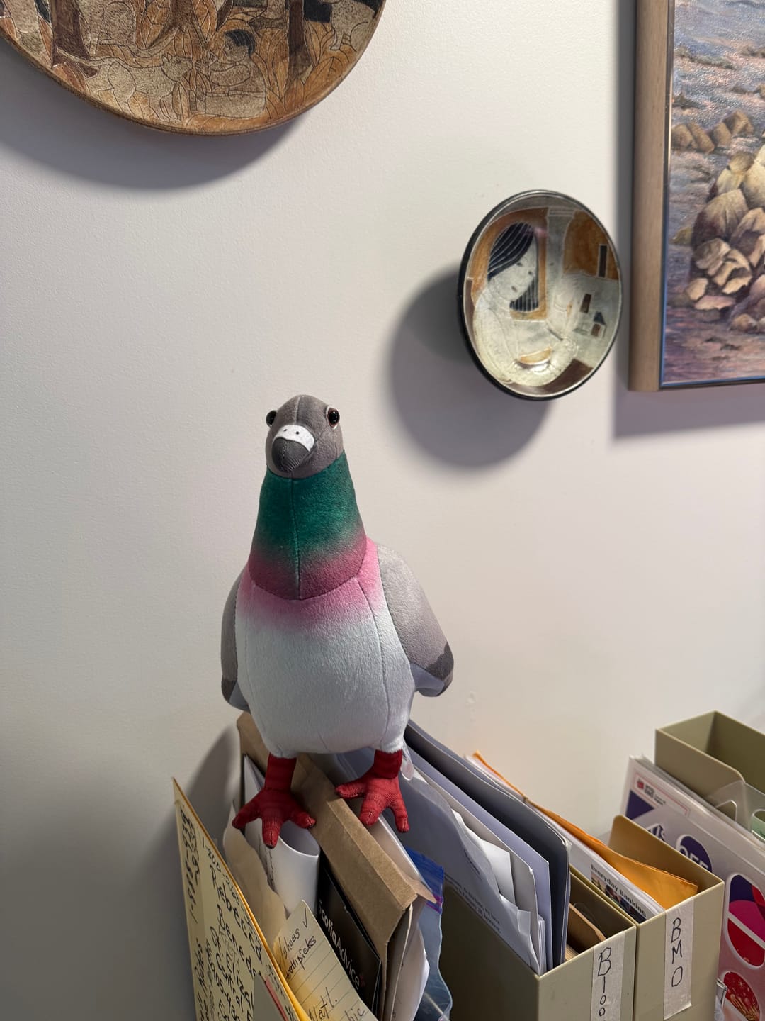Customer photo review of Common Pigeon Bird Soft Stuffed Plush Toy
