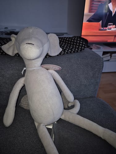 Customer photo review of ARTIE LE LÉVRIER - L