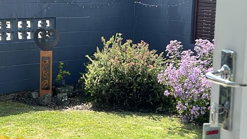 Customer photo review of Black metal NZ Koru Heart on Rustic Oak Post-Garden Art