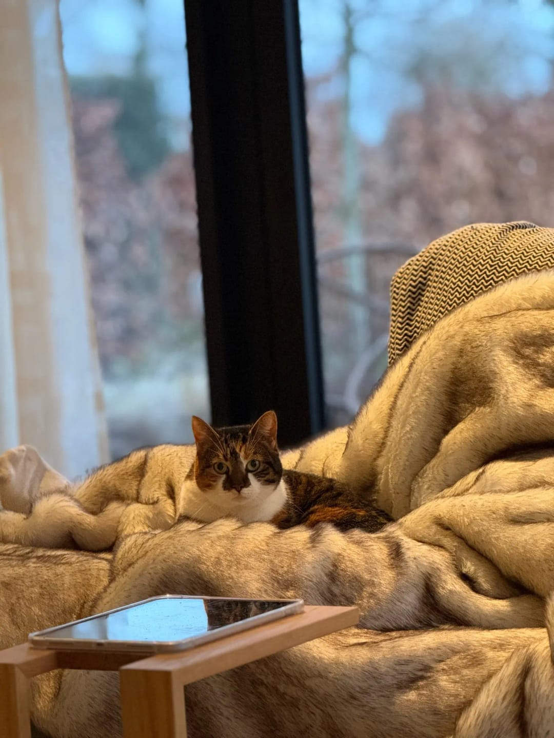 Customer photo review of Velour Faux Fur Blanket