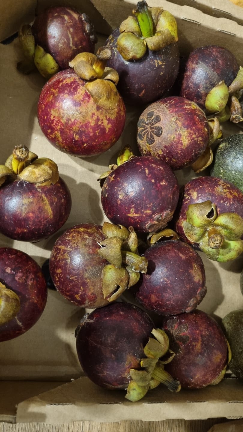 Customer photo review of Mangostan naturbelassen Aktionswoche %