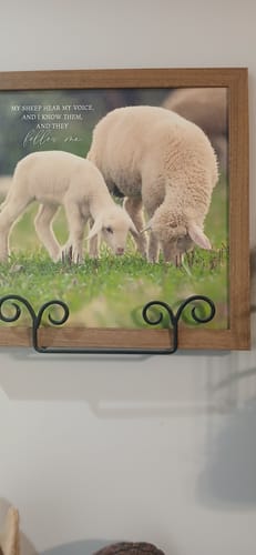 Customer photo review of My Sheep Hear My Voice by Summer Snow SN70