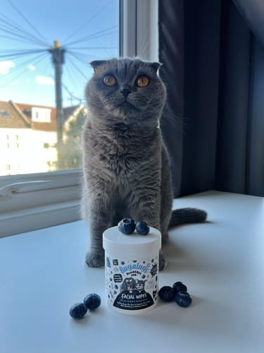 Customer photo review of Blueberry Spa™ Facial Wipes for Dogs & Cats