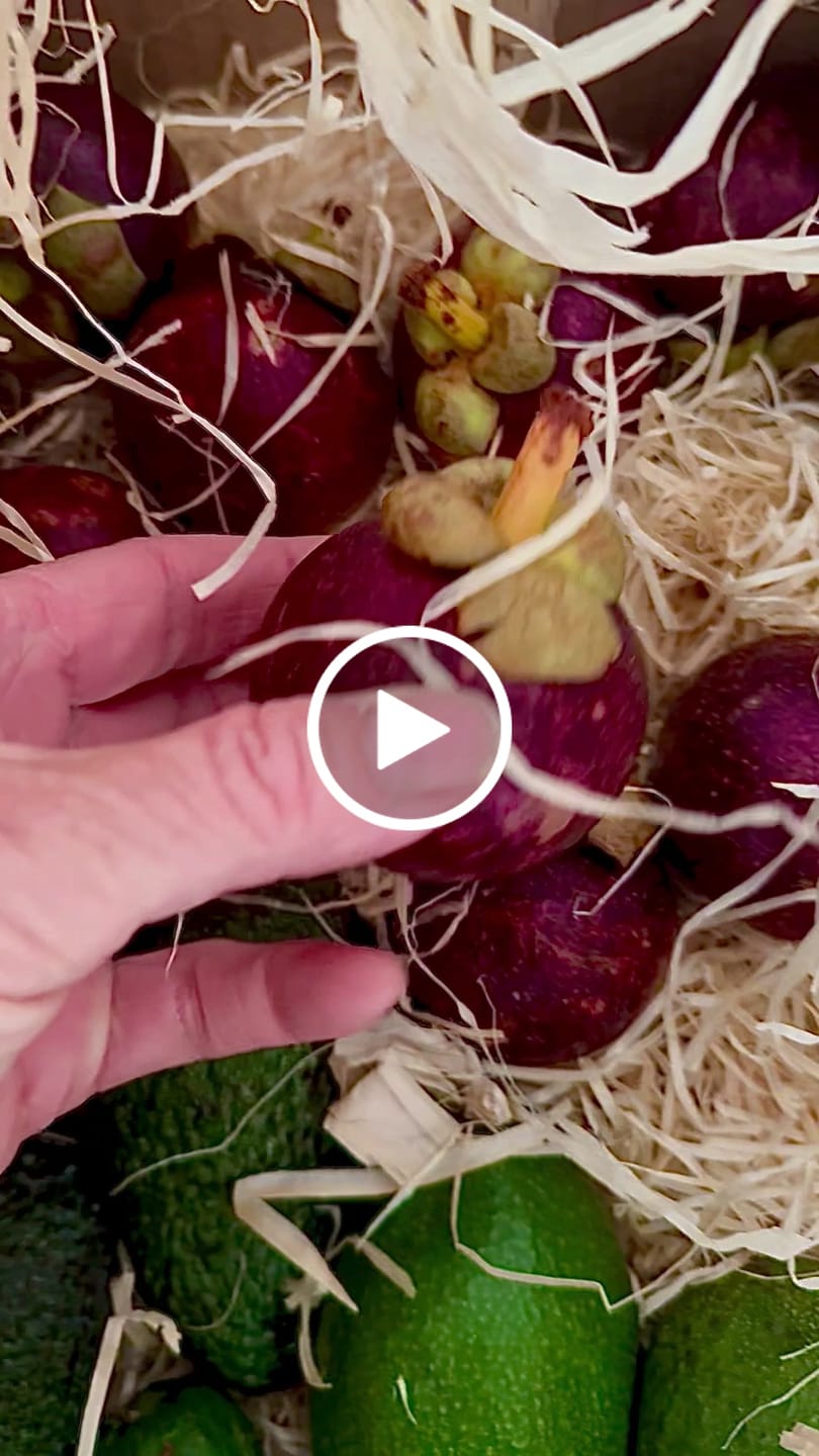 Customer video review of Mangostan von Juan naturbelassen Kennenlernpreis %