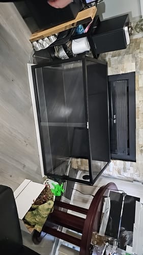 Customer photo review of 120 Gallon Bearded Dragon Enclosure 4x2x2