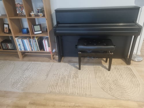 Customer photo review of Lotus Abbey Beige Runner Rug