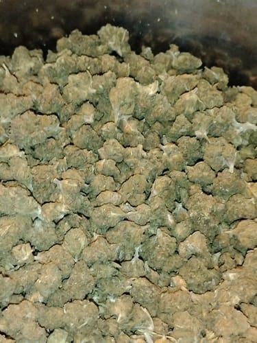 Customer photo review of Cheap THCA Smalls Pound