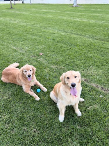 Customer photo review of DA-1™ Daily All-in-One Complete Care