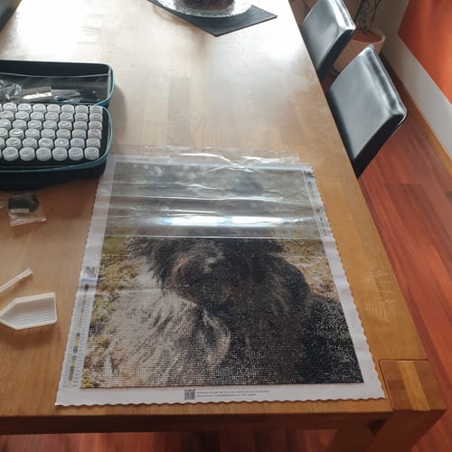 Kundenbewertung mit Foto zu Diamond Painting eigenes Bild