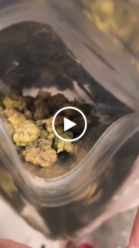 Customer video review of THCa Exotic Micros